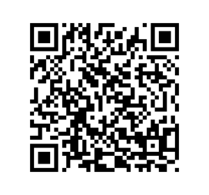 QR Code Pix